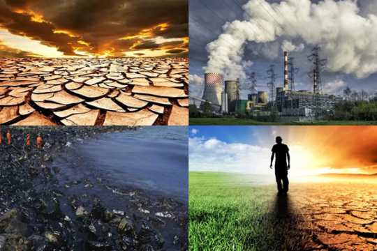 Hậu quả ô nhiễm môi trường đất và giải pháp giảm thiểu ô nhiễm