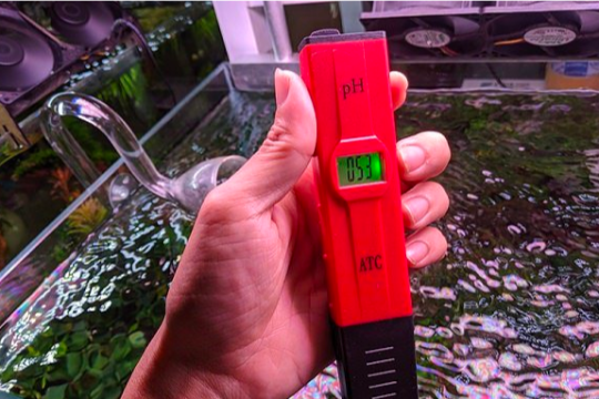 Các loại máy đo pH nước hồ cá