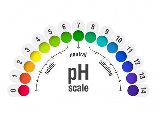 Độ pH trong nước là gì?