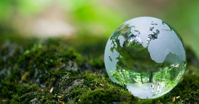 Tư vấn môi trường góp phần phát triển kinh tế toàn diện, bền vững và bảo vệ môi trường (nguồn ảnh Internet)